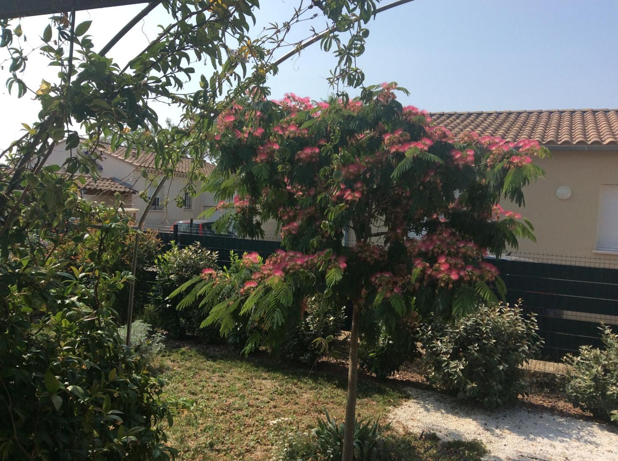 מאזון Chambre D Hotes Dans Le Vaucluse מראה חיצוני תמונה